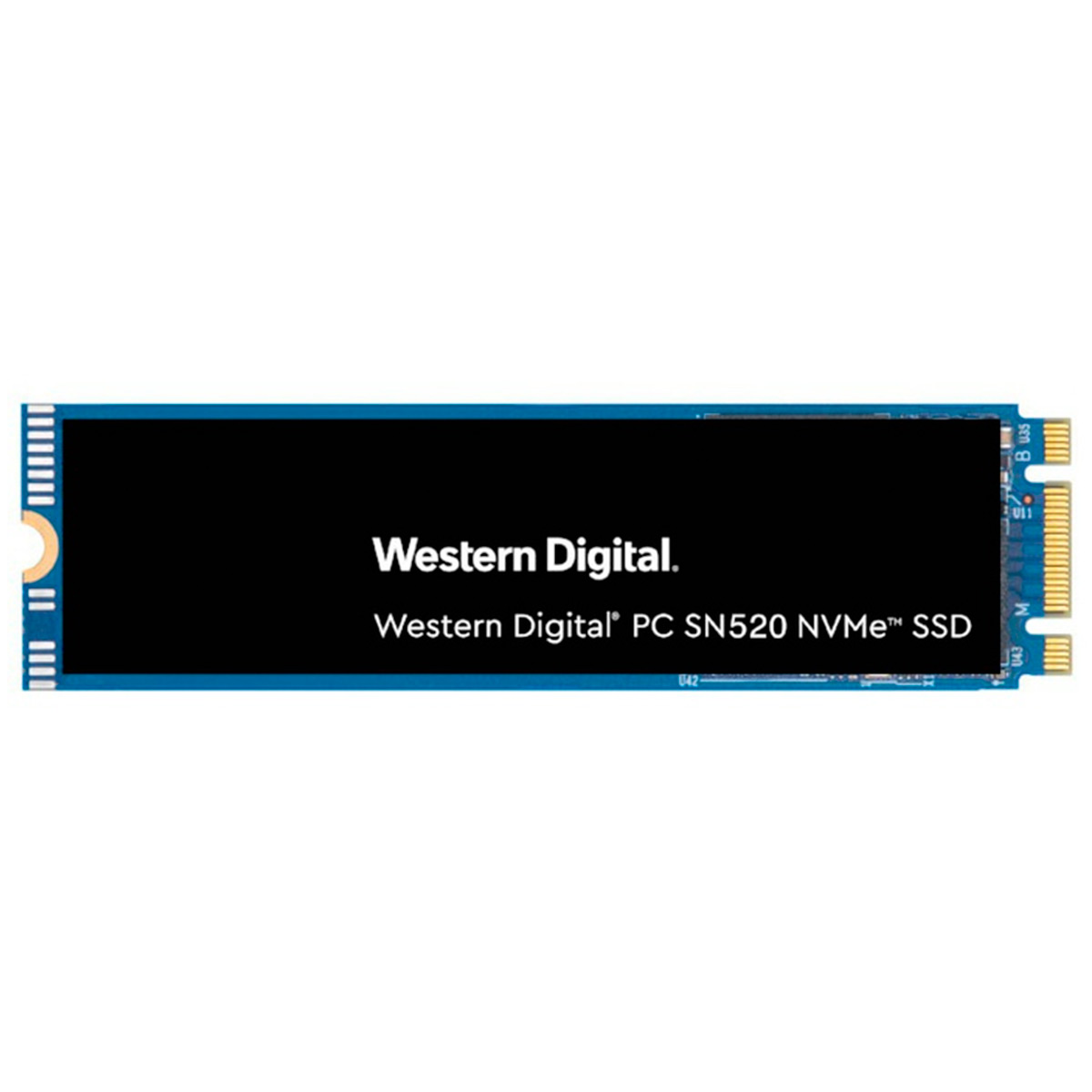 SSD M.2 240GB Western Digital Green - SATA - Leitura 545 MB/s - Gravação 465MB/s - WDS240G2G0B