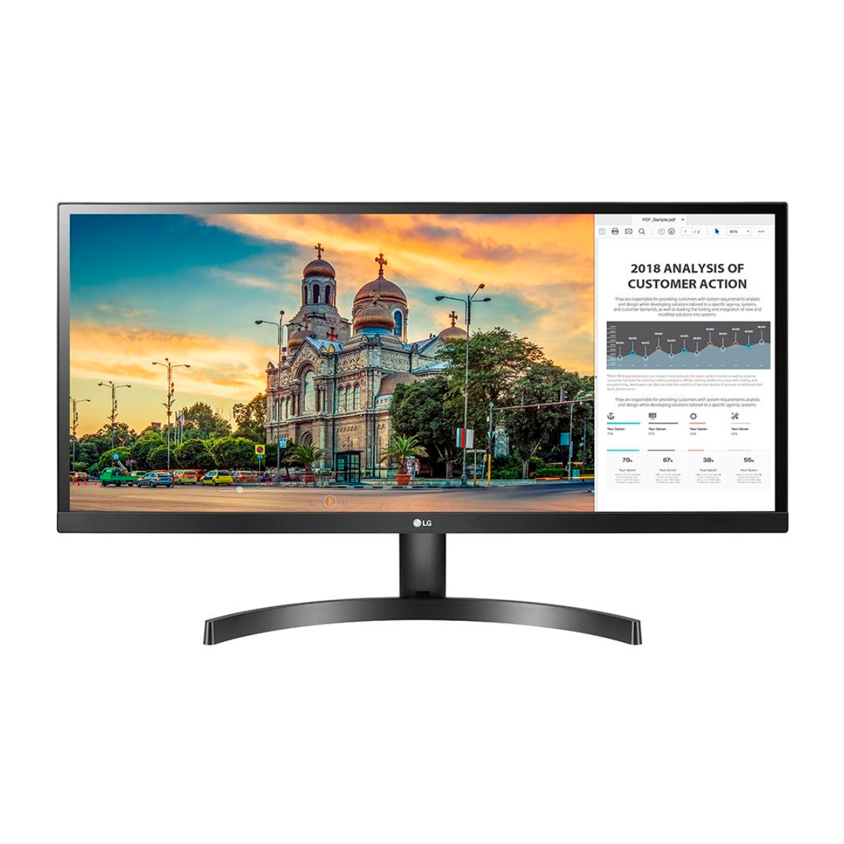 Monitor 29