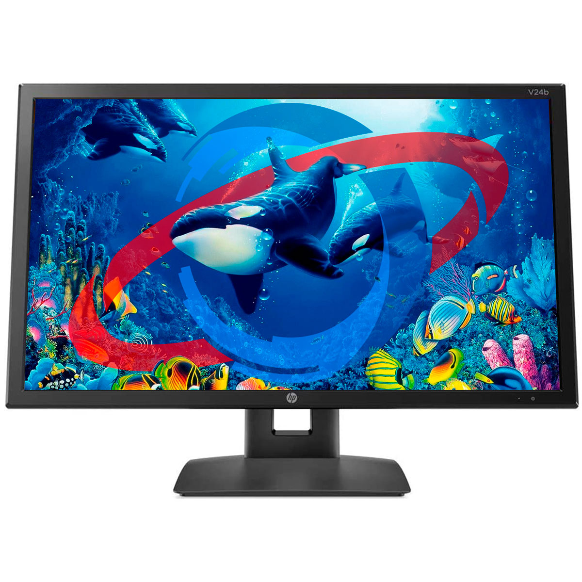 Monitor 23.6