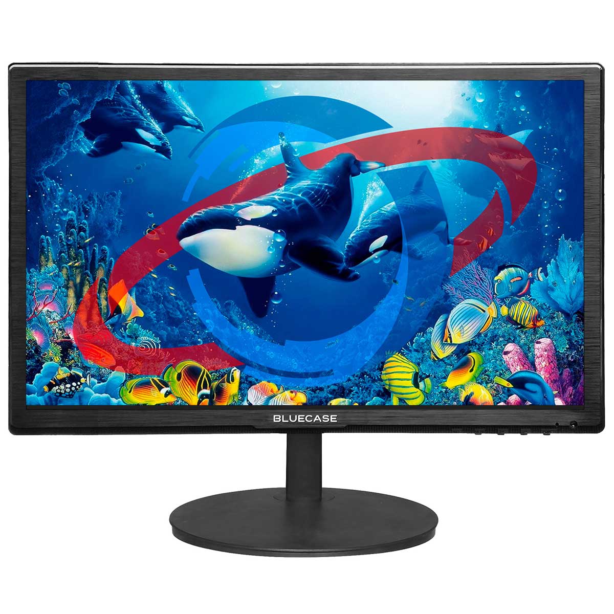 Monitor 20