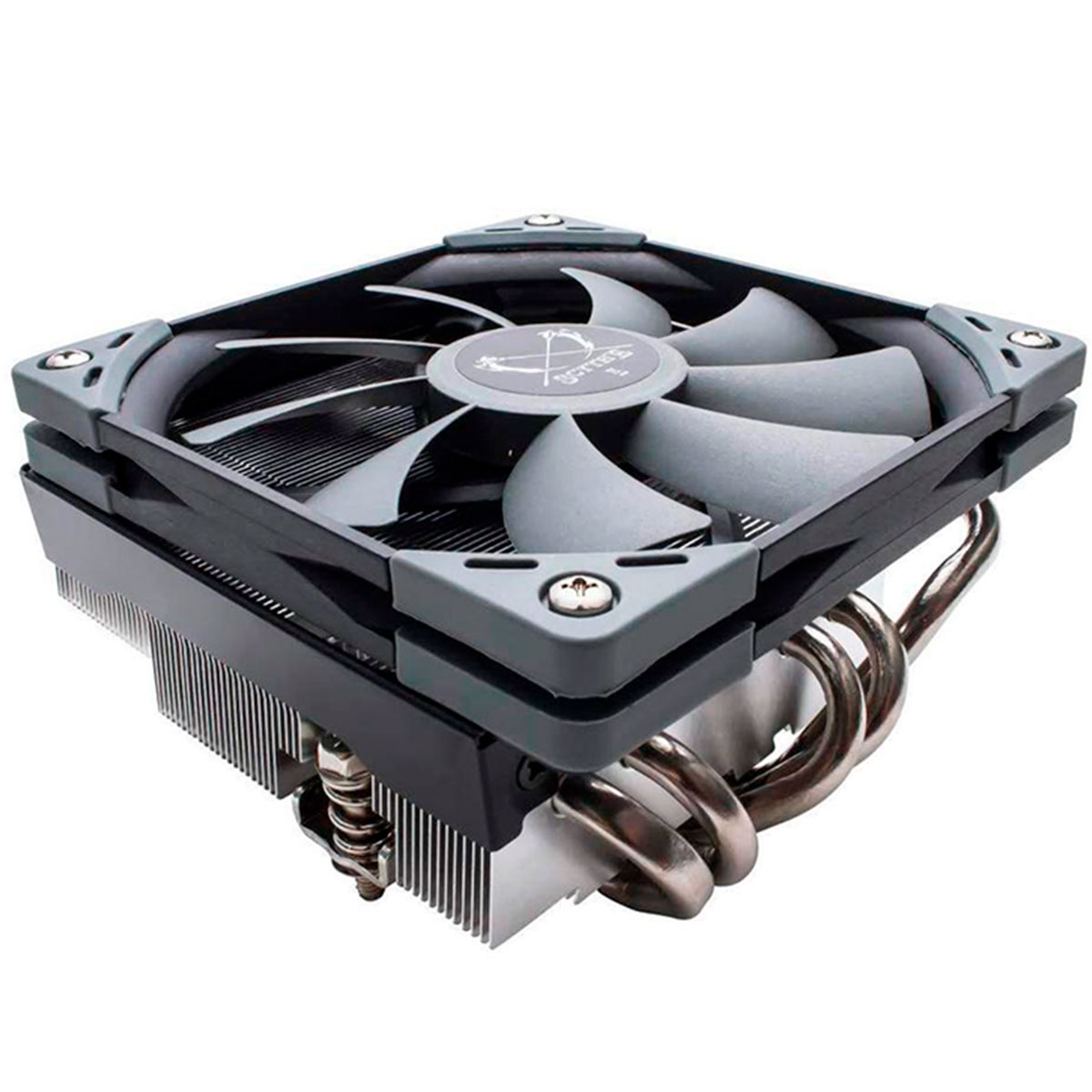 Cooler Scythe Big Shuriken 3 Low Profile - (AMD / Intel) - SCBSK-3000