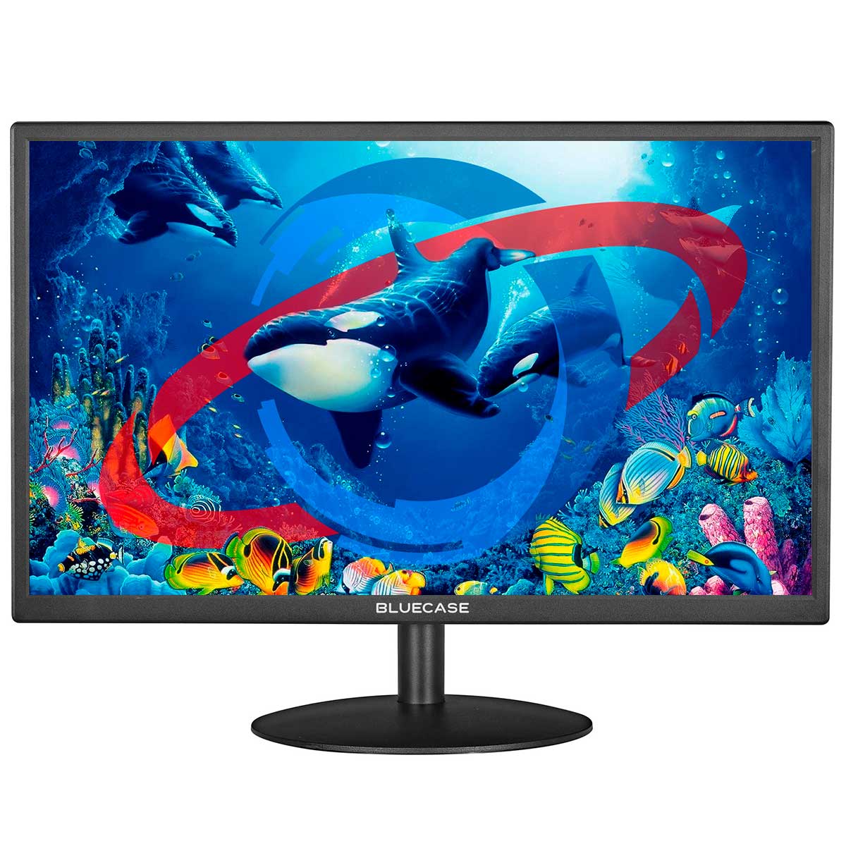 Monitor 20