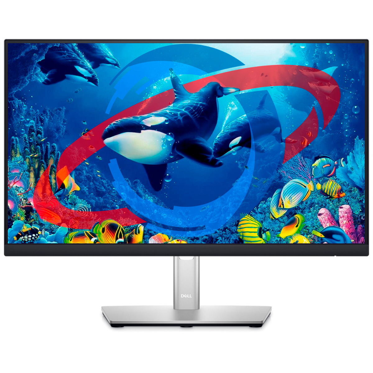 Monitor 21.5