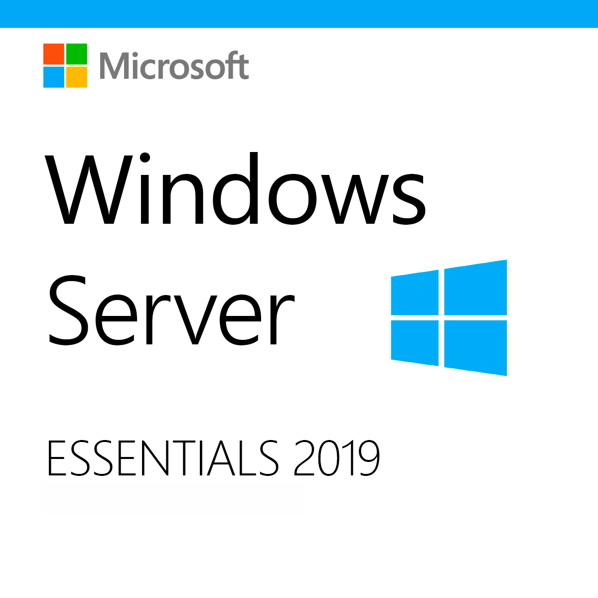 Windows Server 2019 Essentials COEM 64 bits - G3S-01294