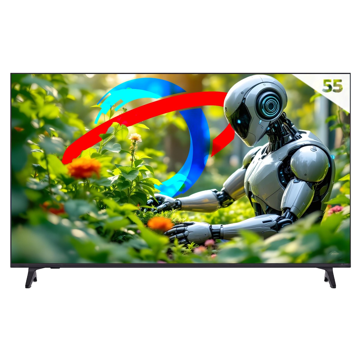 TV 55