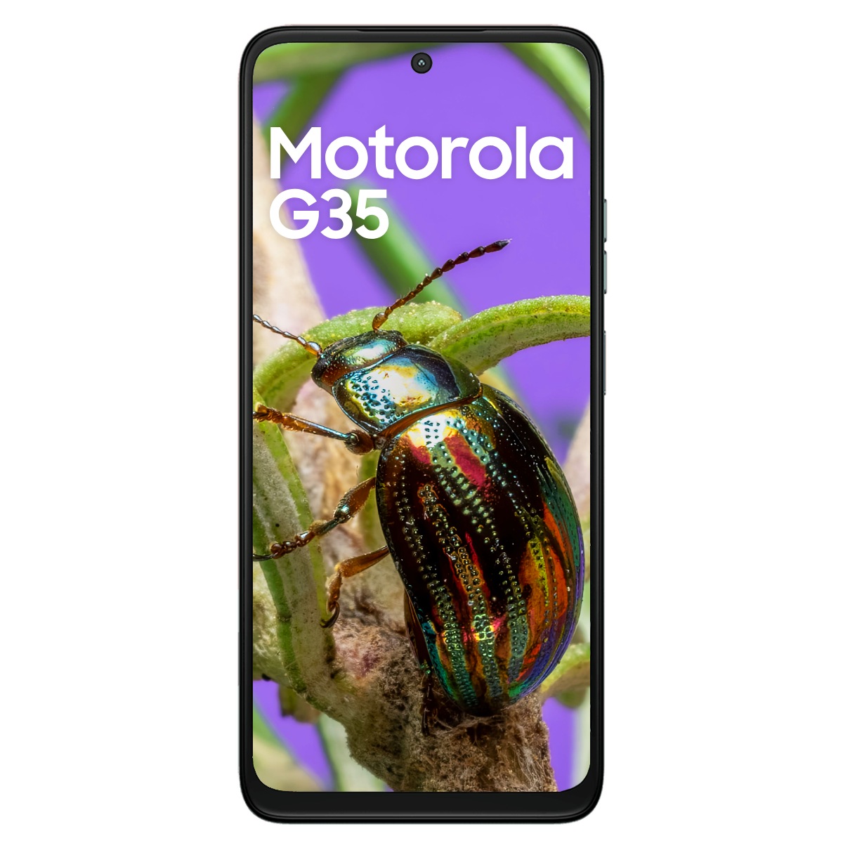 Smartphone Motorola Moto G35 - Tela 6,7