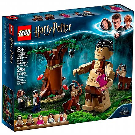 Brinquedo - LEGO Harry Potter - A Floresta Proibida: O Encontro de Grope e Umbridge - 75967