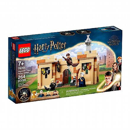 Brinquedo - LEGO Harry Potter - Hogwarts: Primeira Lição de Voo - 76395