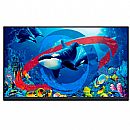 Monitor 23.8" Dell P2422H (Somente painel) - Full HD IPS - HDMI/DisplayPort/VGA - Outlet - Garantia 90 dias